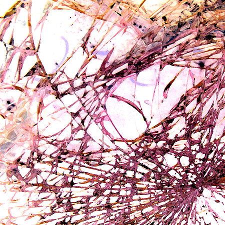 Rupture in Space and Time