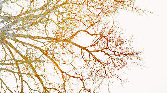 Reaching Out